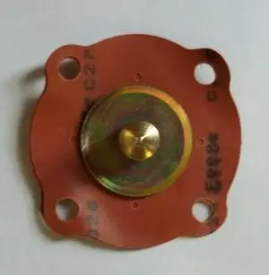 Dhla Pump Diaphragm 1