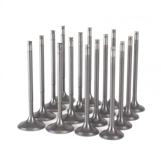 Skunk2 Alpha Valves B - Series 1