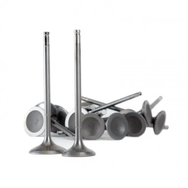 Skunk2 Ultra Valves K - Series 1