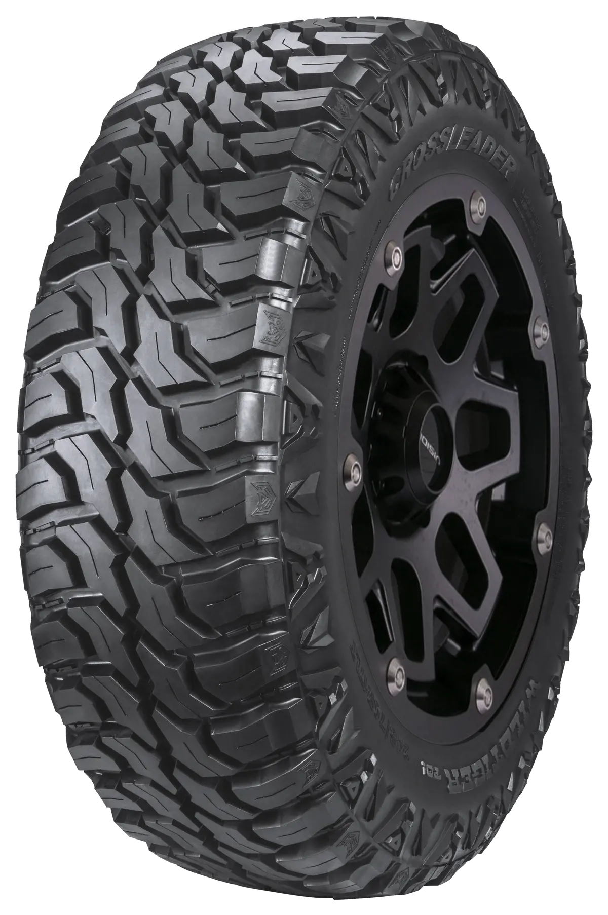 Doublestar 265/70R16 117N Doublestar T01 1
