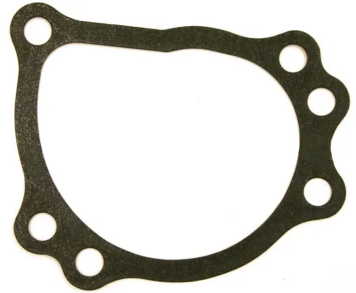 Mini Genuine Water Pump Gasket 1