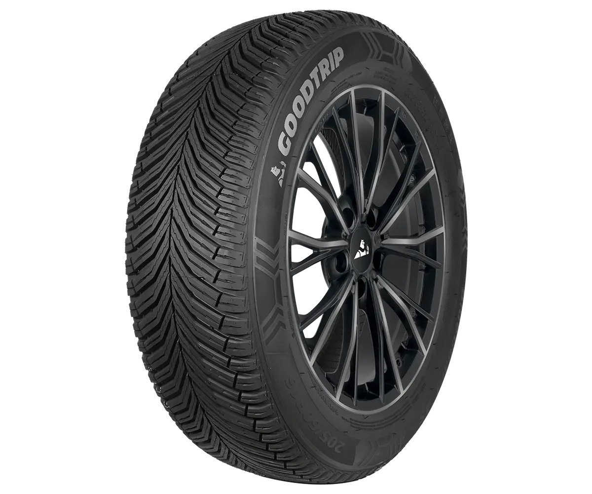 Goodtrip 195/65R15 95H Goodtr Blueguar As Xl 1