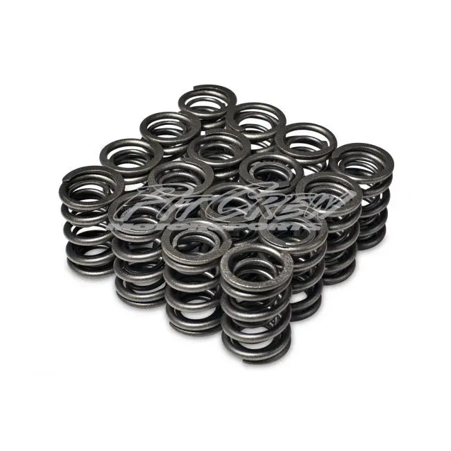 Skunk2 Alpha Dohc Vtec Valve Springs 1