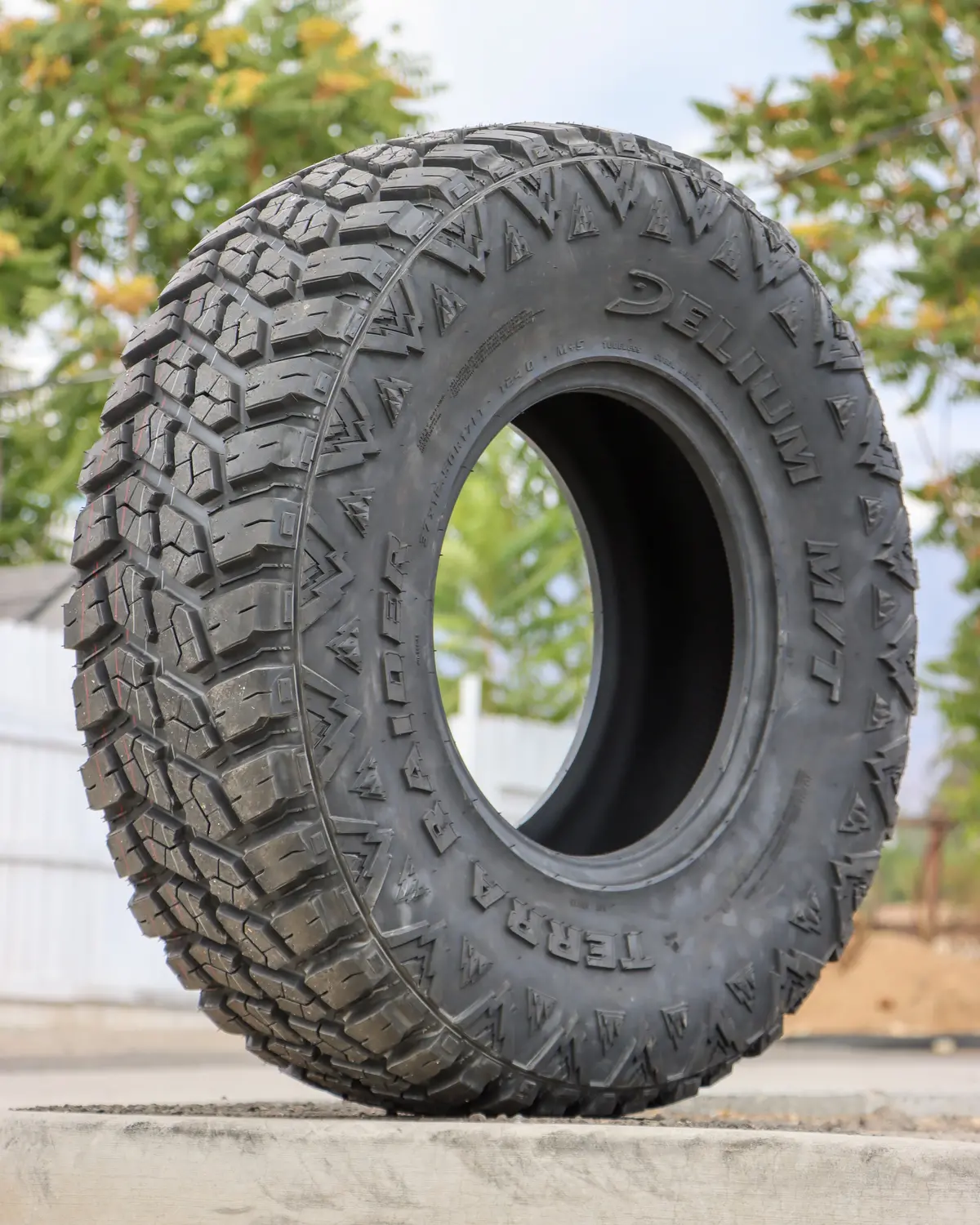 Delium Terra Raider M/T 1
