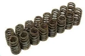 Ford Duratec Valve Springs 1