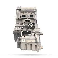 Long Block Kit Pn:2207461 For Polaris Turbo & Turbo S 2016-2020 1