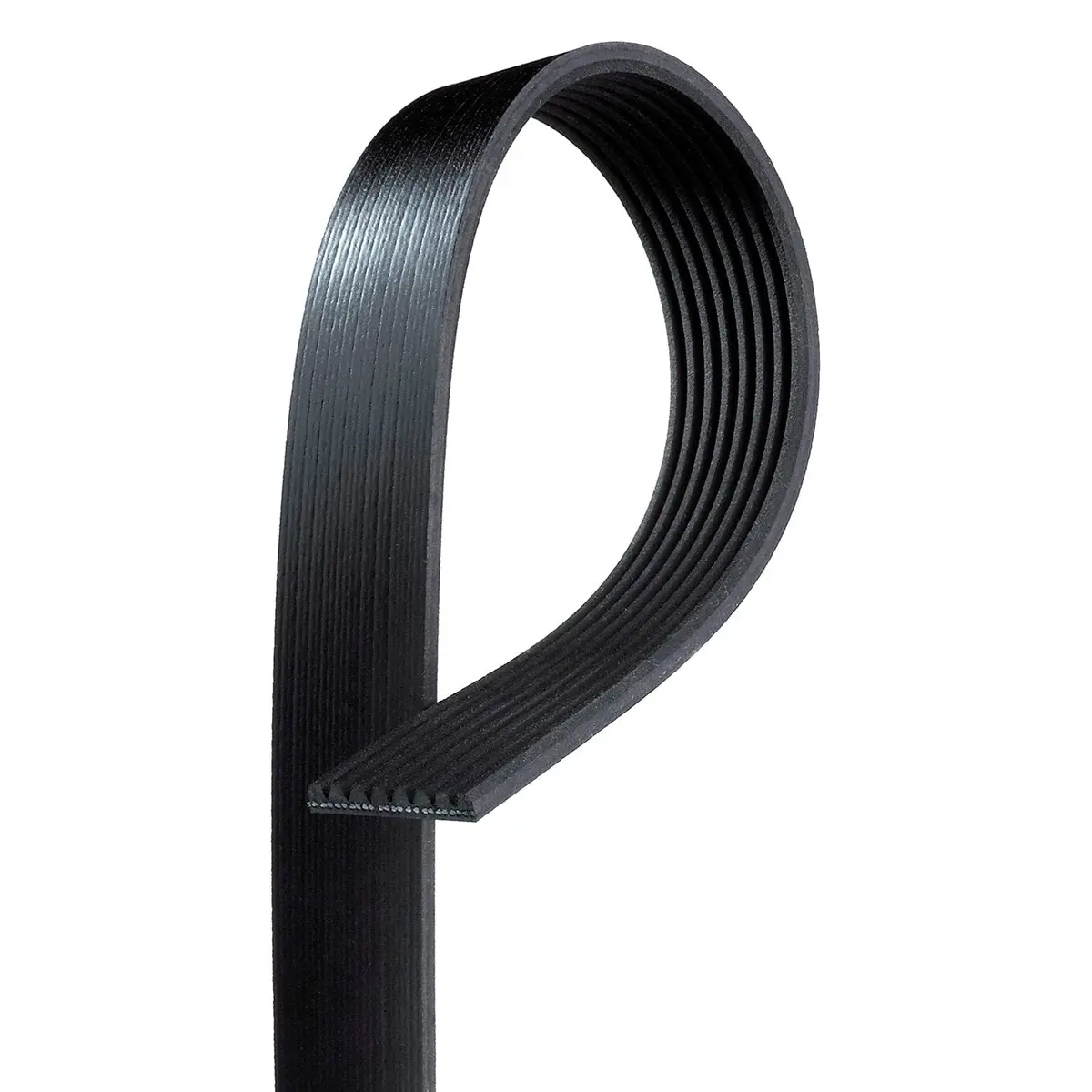 Gates® K081344 - Serpentine Belt 1