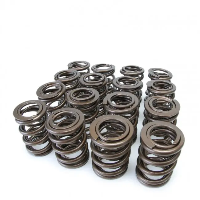 Skunk2 Alpha K-Series Valve Springs 1