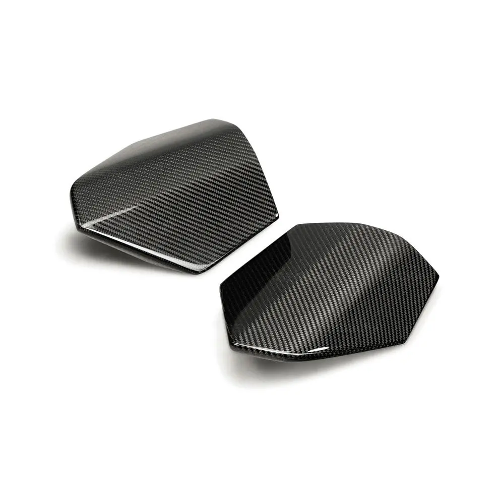 Carbon Fiber Rear Roof Trim - 17+ Civic Type-R 1